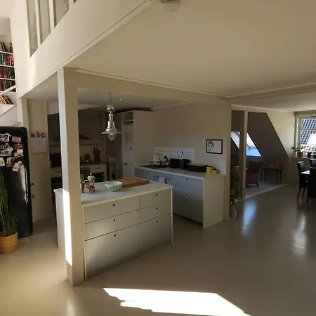 Central, Spacious Apartament Bergen